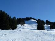 Vordersuttis downhill run