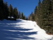 Intermediate slope Sinkmoos to the Breiteben valley station