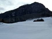 View of the ski slope at Lärchenhof