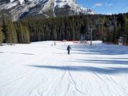 Easy slope at Cascade Chair