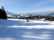 Beginner area Naniland