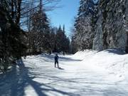 Connecting slope Kirchenlift-Almwiesenlift