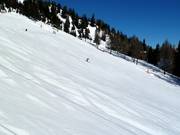 Perfect slope grooming