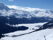 Cross-country trails on Lake Silvaplana