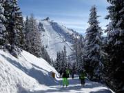 View of the challenging Panorama descent at Hauser Kaibling