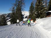 Family Slope Brandlalm