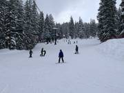 Easy slope at the Explorer chairlift