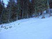 Effective barrier protection for forest areas