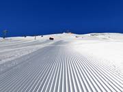 Perfect slope grooming