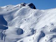 Powder tracks at the Gipfelbahn
