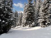 Valley run Hattey to Verbier