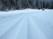 Perfectly groomed cross-country trail