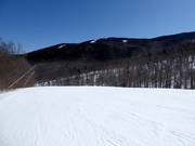 Easy and wide slope at the Jordan Bowl