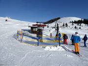 Stierlerhüttelift - T-bar