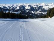 Start of descent no. 26 Kaser towards Kirchberg