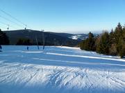 Descent at the double drag lift Predigtstuhl I