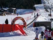 Marmotta - People mover/Moving Carpet