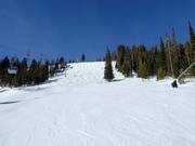 Downhill Take a Bough