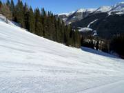 Groomed slope in the Drei Zinnen Dolomites ski area