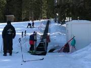 #12 Malina - People mover/Moving Carpet