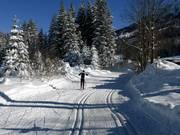 Cross-country ski trail in Oberjoch