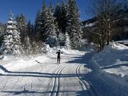 Cross-country trail in Oberjoch