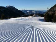 Perfect slope in Latemar