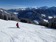 Slopes at the Isskogelbahn