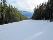 Forest clearing slope Eye Opener Connector