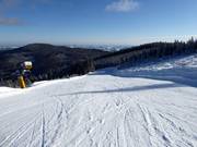 Intermediate family slope No. 7