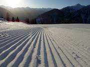 Excellent slope grooming in the Pejo ski area