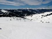 View over the Back Bowls of Vail