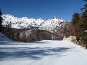 Slope Zadnji Vogel No. 10