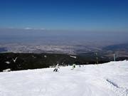 Slope Laleto lesna 3