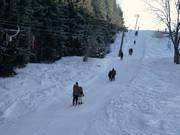 Elektrolift (Lift 3) - T-bar