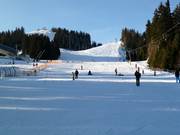 Practice slope Almboden