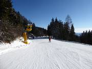 Lella downhill run to the Mönichkirchen valley station