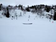 Tip for children  - Badnakrokjen