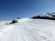 Practice lift at Brandstadl in Scheffau