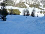 Wave track at Junior-Jet