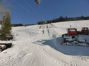 Stübenwasenlift - T-bar