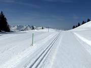 Cross-country trails at the Danusa mountain station