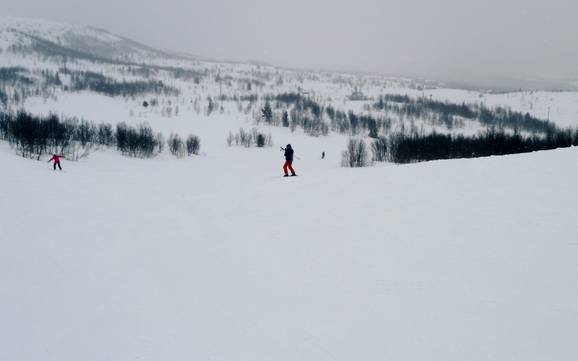Ski resorts for beginners in Valdres – Beginners Beitostølen