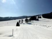 The Menzenschwand ski resort is a medium-sized ski resort in the southern Black Forest.