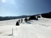 The Menzenschwand ski resort is one of the medium-sized ski resorts in the Southern Black Forest.
