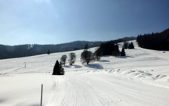 Waldshut: size of the ski resorts – Size Menzenschwand (St. Blasien) – Spießhorn
