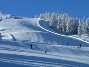 Undulating terrain at the spacejet 3