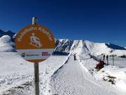 Tip for children  - Toboggan runs