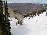 Freeride and deep powder descent