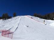 Black slope at the Carosello 3000 gondola